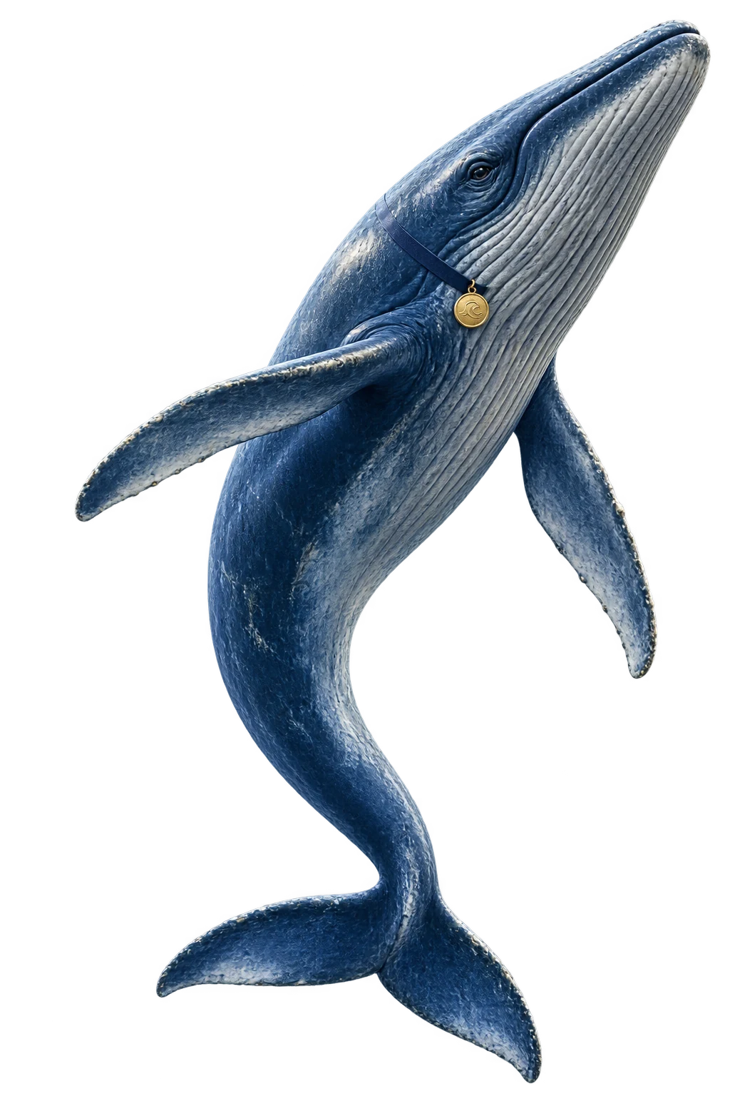 Wally, de realistische blauwe vinvis van Housebets